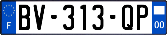 BV-313-QP