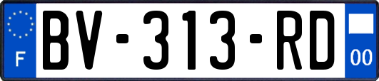 BV-313-RD