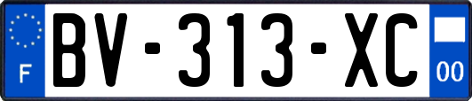 BV-313-XC