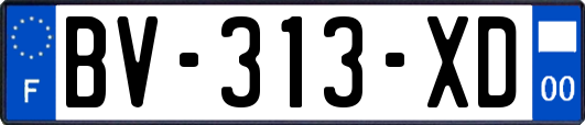 BV-313-XD