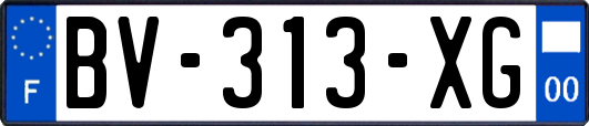 BV-313-XG