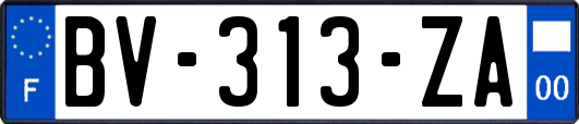 BV-313-ZA