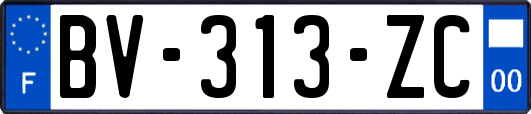 BV-313-ZC