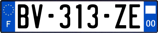 BV-313-ZE