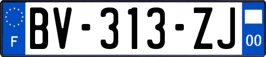 BV-313-ZJ