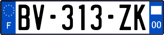 BV-313-ZK