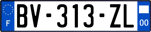 BV-313-ZL