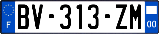 BV-313-ZM