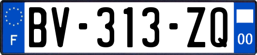 BV-313-ZQ