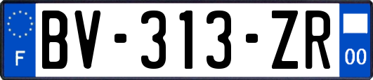 BV-313-ZR