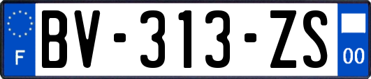 BV-313-ZS