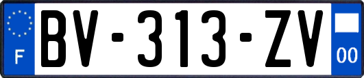 BV-313-ZV