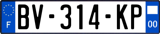 BV-314-KP