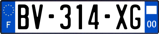 BV-314-XG