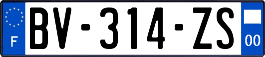 BV-314-ZS