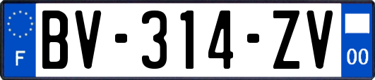 BV-314-ZV