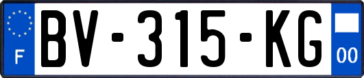 BV-315-KG