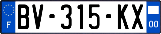 BV-315-KX