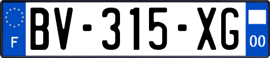 BV-315-XG