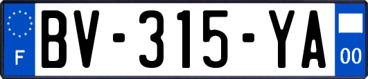 BV-315-YA