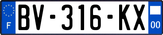 BV-316-KX