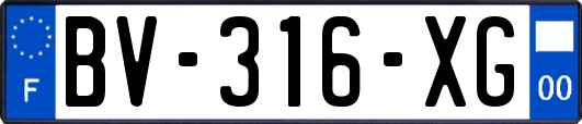 BV-316-XG