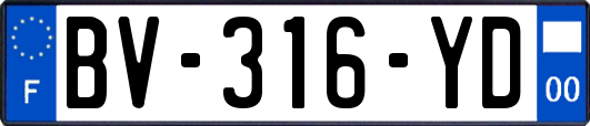 BV-316-YD