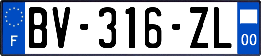 BV-316-ZL