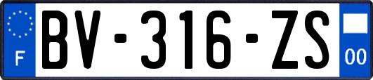 BV-316-ZS