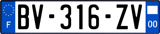 BV-316-ZV