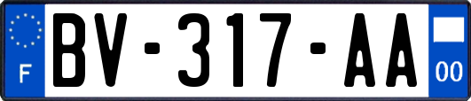 BV-317-AA