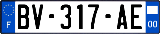 BV-317-AE