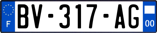 BV-317-AG