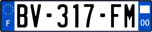 BV-317-FM