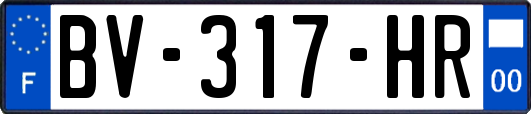 BV-317-HR