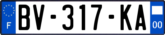 BV-317-KA
