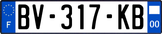 BV-317-KB