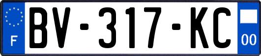 BV-317-KC