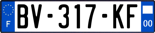 BV-317-KF