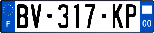 BV-317-KP