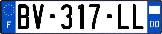 BV-317-LL