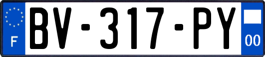 BV-317-PY