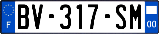 BV-317-SM