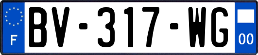 BV-317-WG