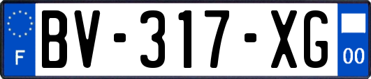 BV-317-XG