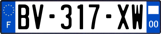 BV-317-XW