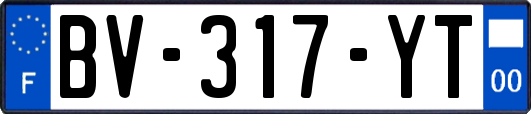 BV-317-YT