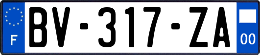 BV-317-ZA