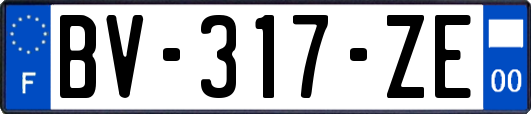 BV-317-ZE