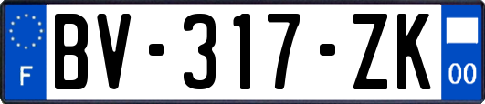 BV-317-ZK